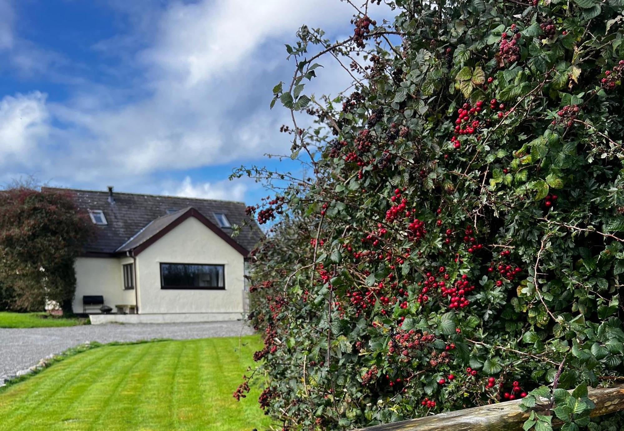 3 Bed Detached Cottage- Log Burner Mountain Views Holiday home Beaumaris
